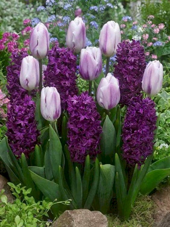 цветы в пурпурном онлайн-пазл