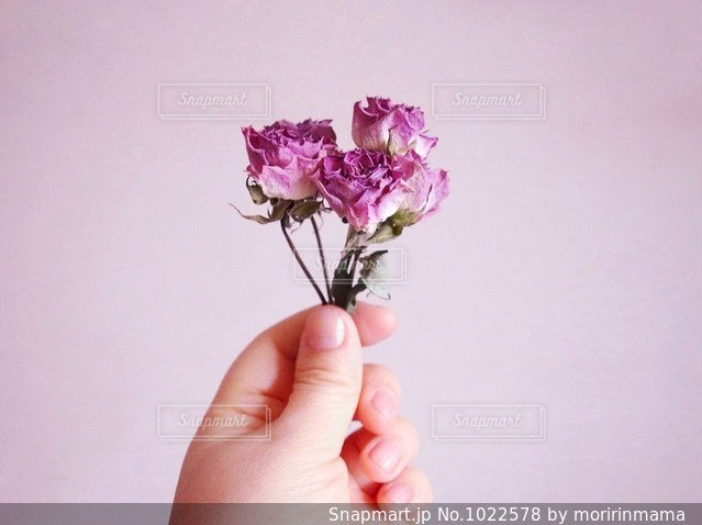 Λουλούδια  Pussel online