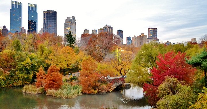 Podzim v New Yorku. skládačky online