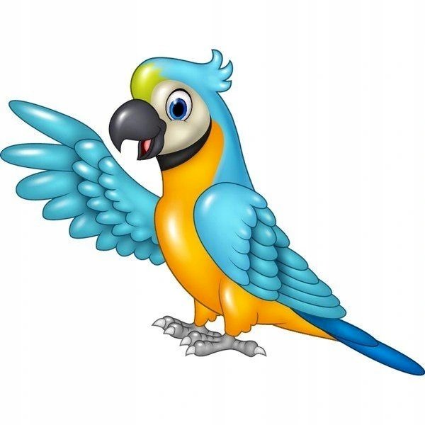 Ara papoušek online puzzle