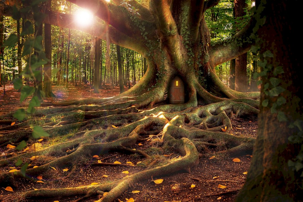 Een bewoonde boom in het bos online puzzel