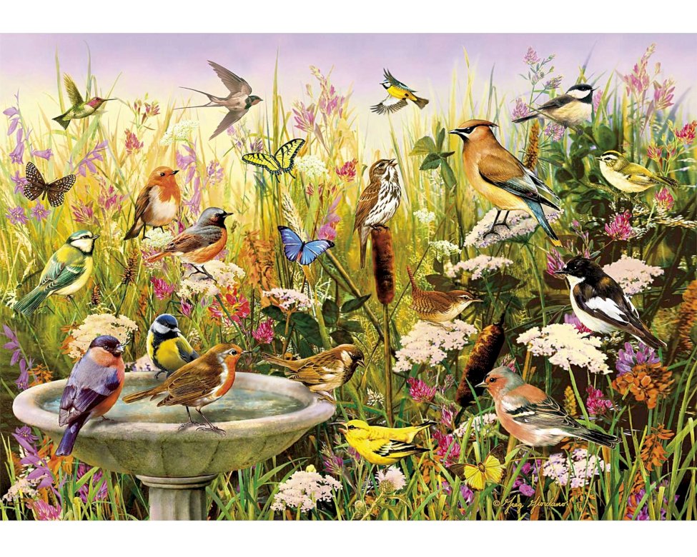 Paradisul păsărilor puzzle online