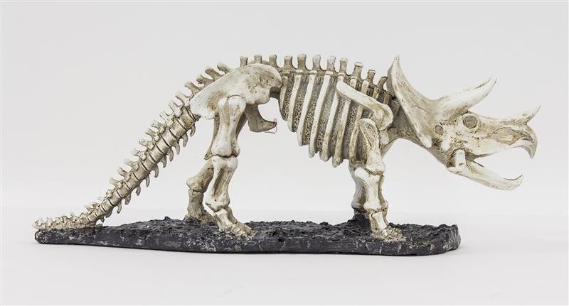Dinoszaurusz csontok online puzzle