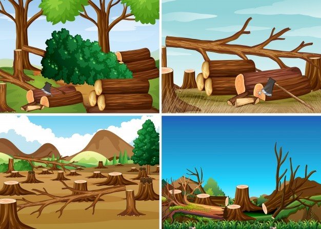 Odlesňování online puzzle
