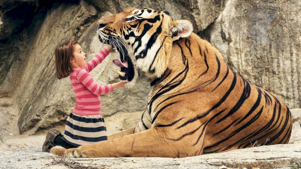 少女と大きな虎 オンラインパズル