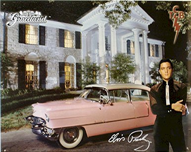 Pink Cadillac At Graceland jigsaw puzzle online