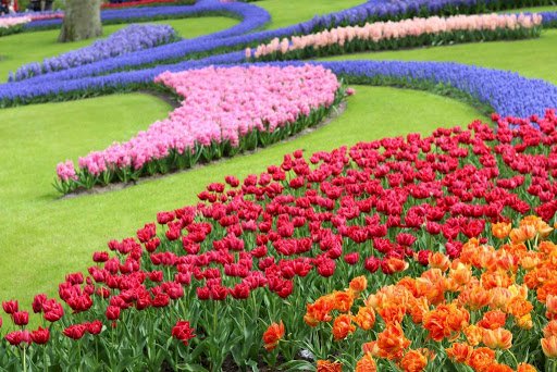 Teppich aus Blumen Puzzlespiel online