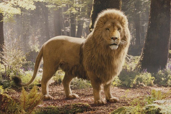 Aslan, The Lion