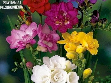 Στεφάνι λουλουδιών παζλ online