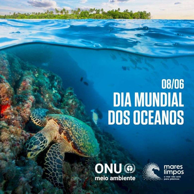 World Oceans Day pussel på nätet