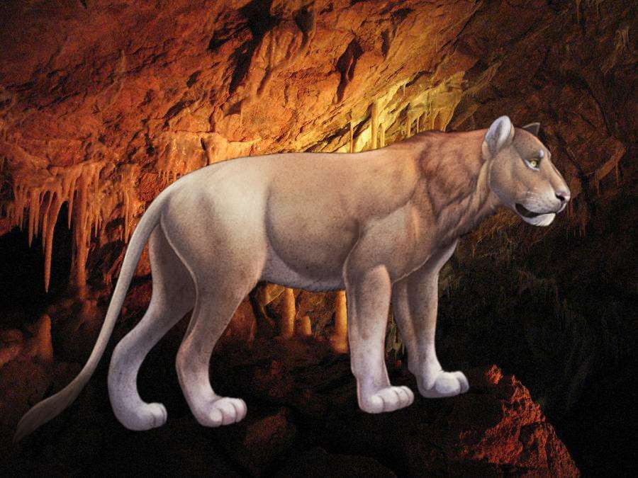 Puzzle con un leone delle caverne puzzle online