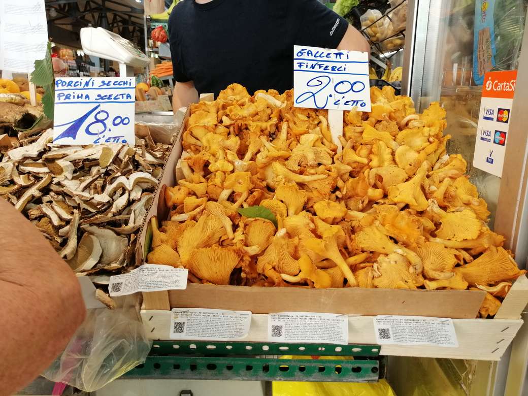 chanterelles and other online puzzle