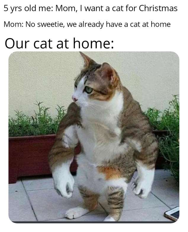 η γάτα μας στο σπίτι παζλ online