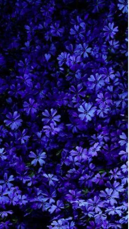krásné fialové květinky Pussel online