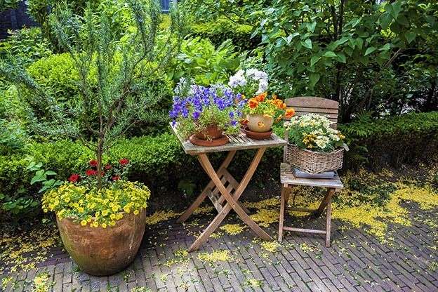 A kertben, egy hely, virággal online puzzle