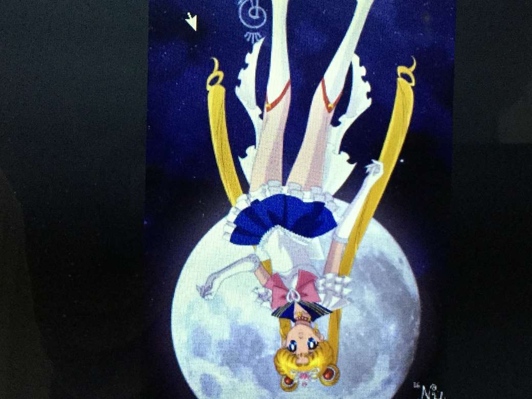 Princess Sailor Moon Pussel online