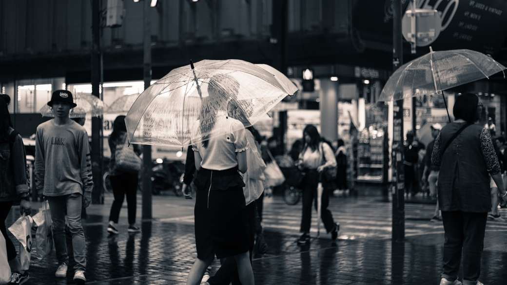 Βροχερή μέρα στην Οζάκα παζλ online