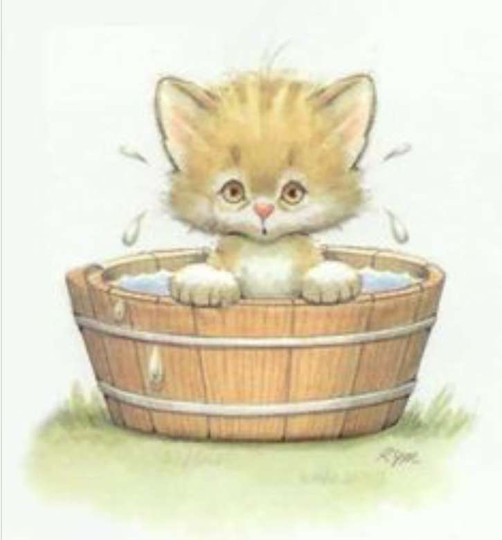 malé kotě se koupe v neckách online παζλ