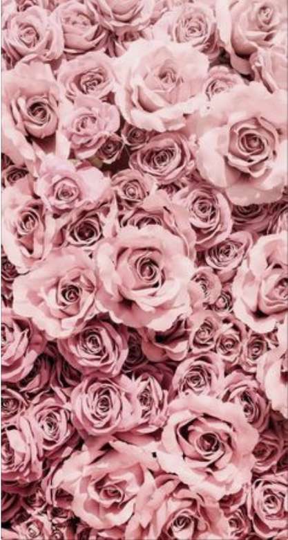 růžičky v krásné barvě Pussel online