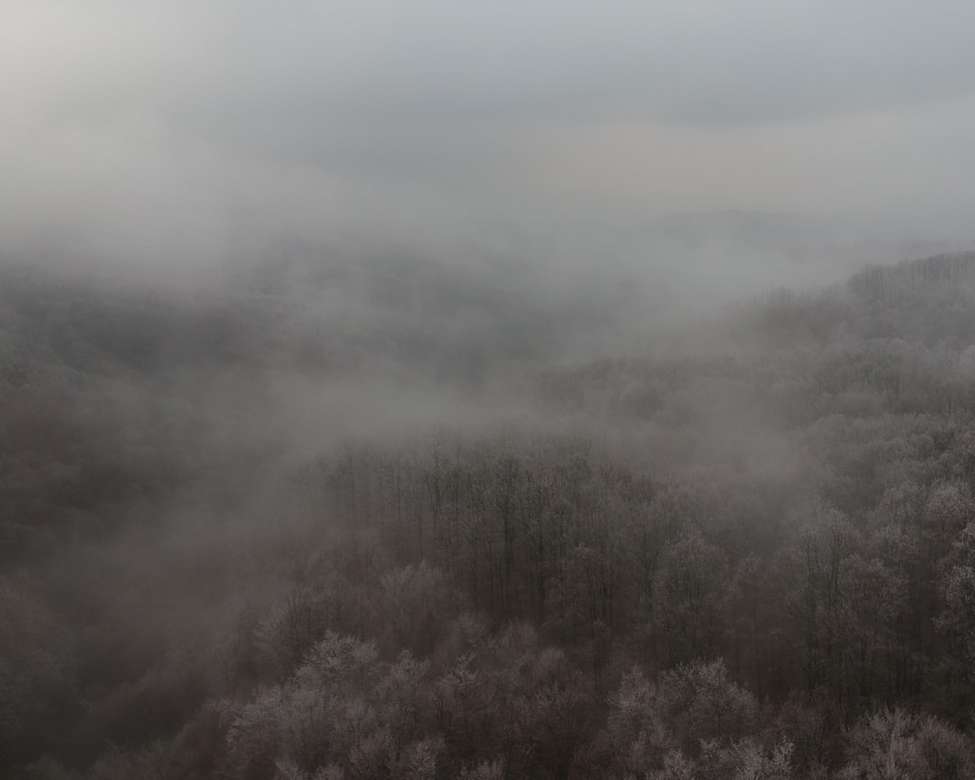 Nevoeiro acima da floresta de geada puzzle online