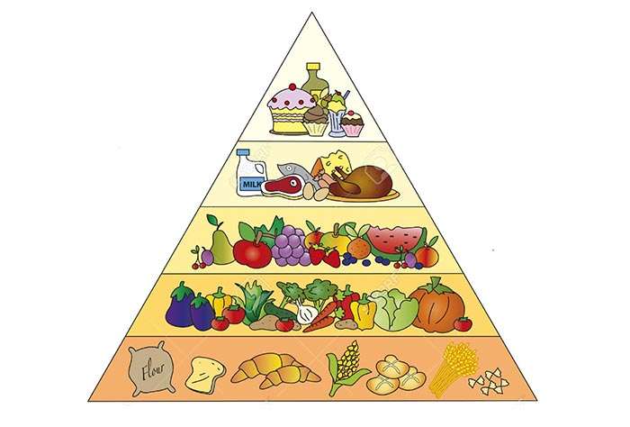 Пищевая пирамида пазл онлайн
