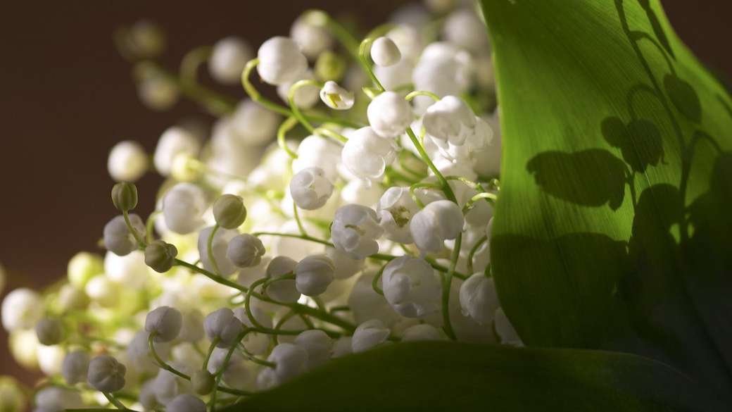 lily of the valley jigsaw puzzle online
