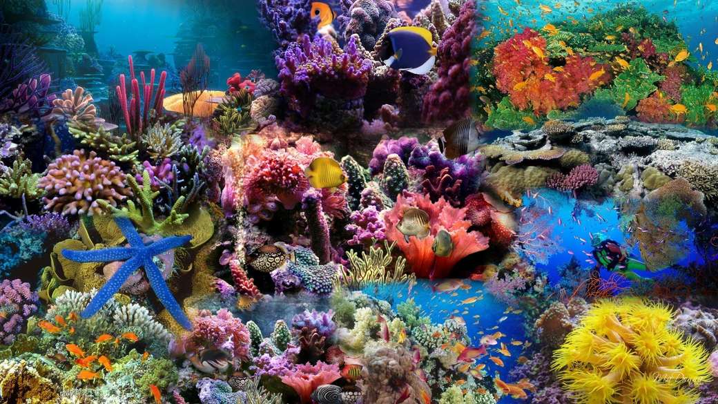 Onderwaterwereld online puzzel