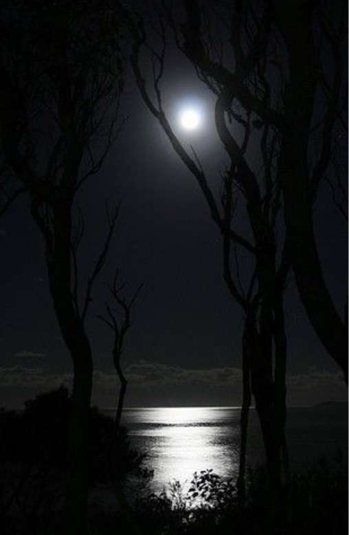 noc, tma, měsíc a voda Pussel online