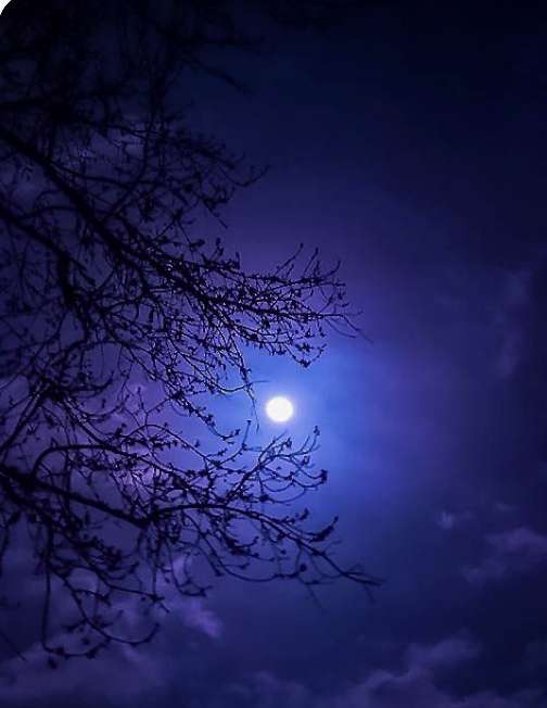 tajemné, noc, modrá tma, měsíc-2 online puzzel