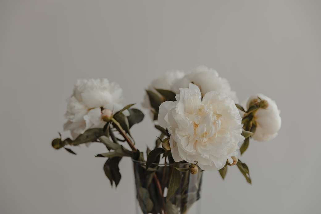fehér virágok átlátszó üveg váza online puzzle