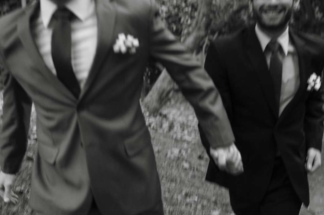 Homopaar dat door het park loopt, dat gelukkig voelt legpuzzel online