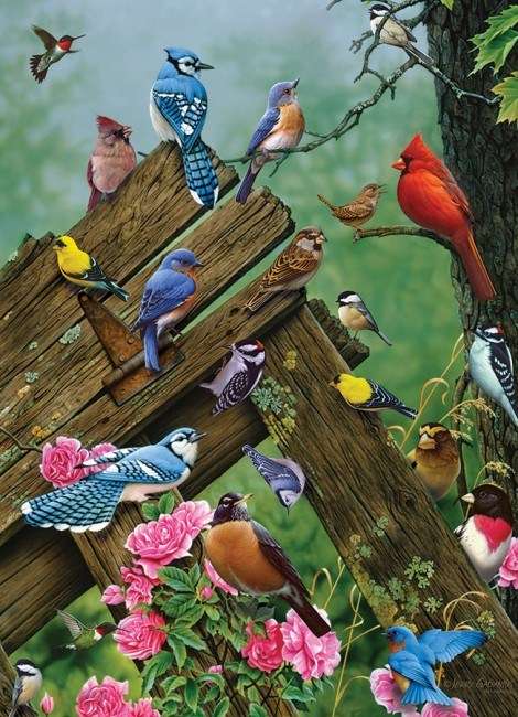 Vogels uit het bos. online puzzel