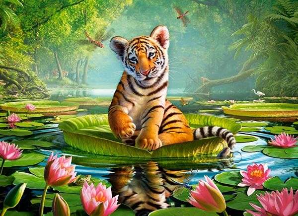 Piccola tigre sull'acqua :) puzzle online