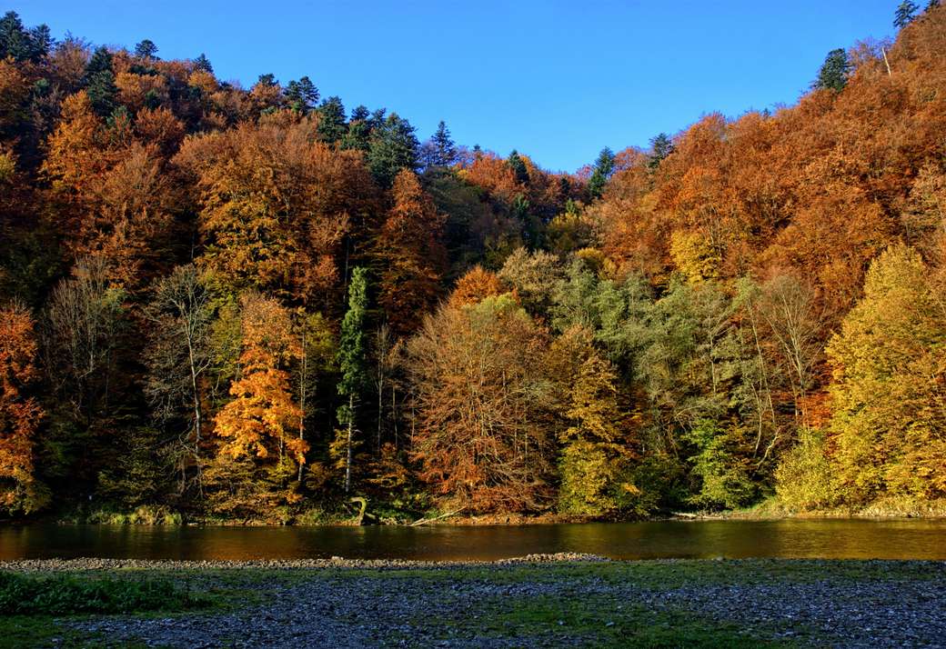 Autumn in the mountains jigsaw puzzle online