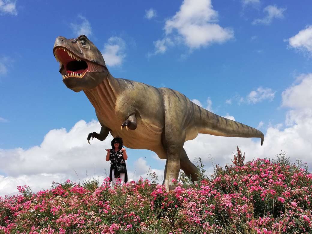 dinosauří park online puzzle