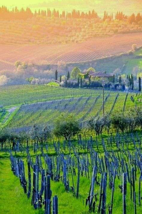 Italiensk vingård pussel på nätet