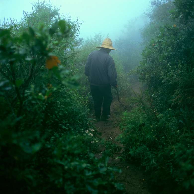 човек, ходещ в храсти с мъгла онлайн пъзел