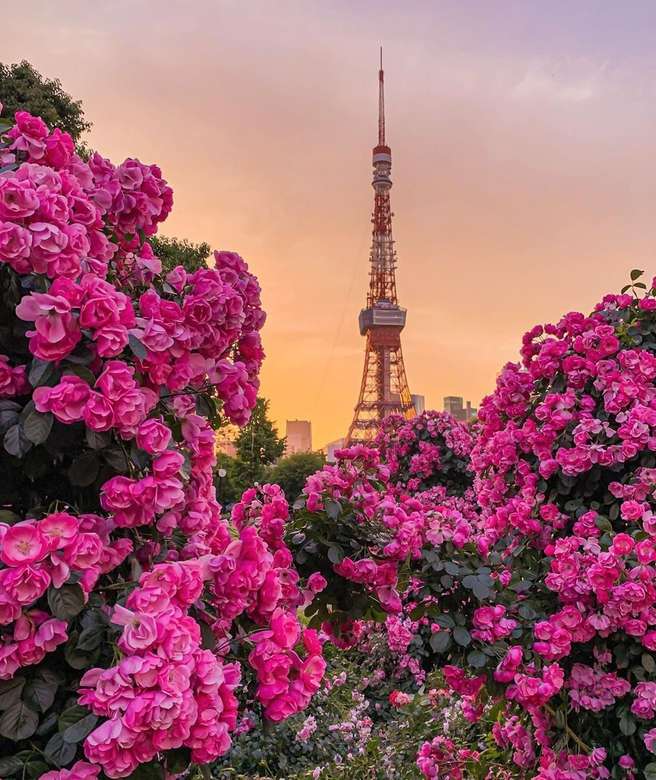Tokyo Tower pussel på nätet