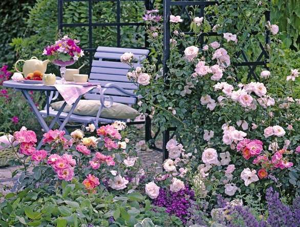 Čajový čas mezi růžemi. skládačky online