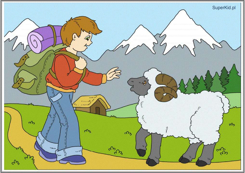 Encontro com uma ovelha puzzle online