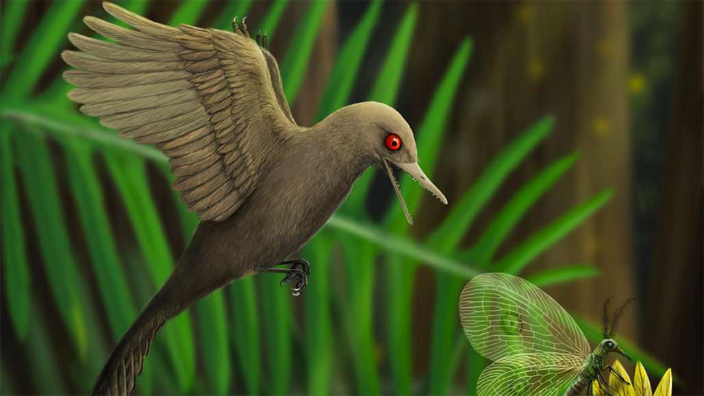 Dinosaurier wie ein Vogel Puzzlespiel online