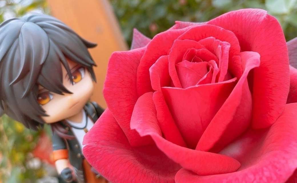 Ookurikara admira la rosa. rompecabezas
