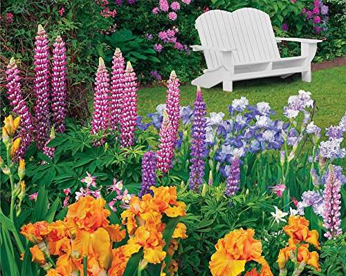 Fiori colorati in giardino. puzzle online