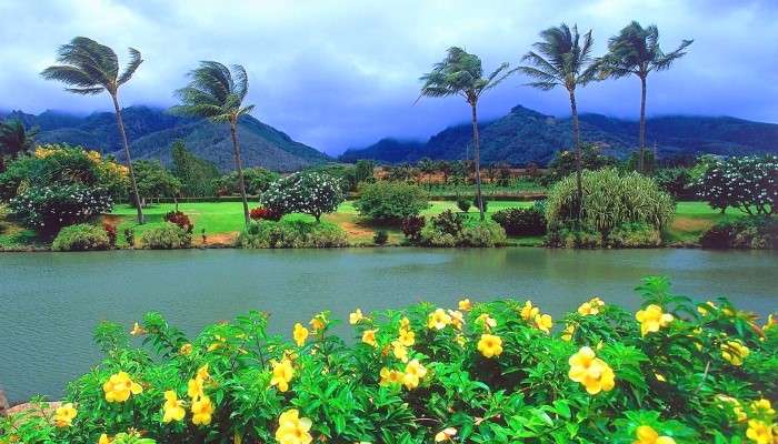 Fluss auf dem Hintergrund der Berge, Hawaii Puzzlespiel online