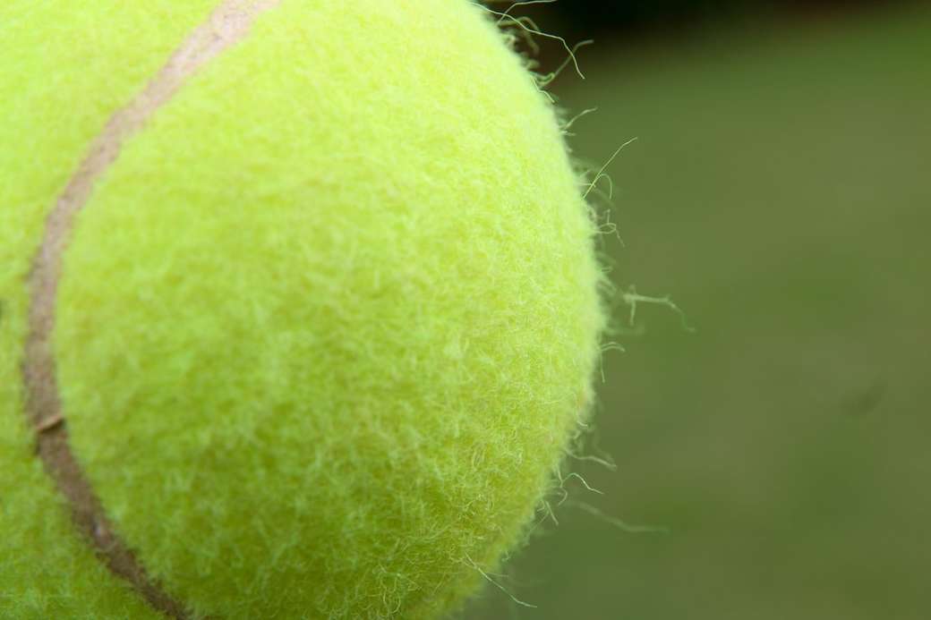 Tennisboll trädgård spel pussel på nätet