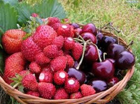 Червени плодове онлайн пъзел