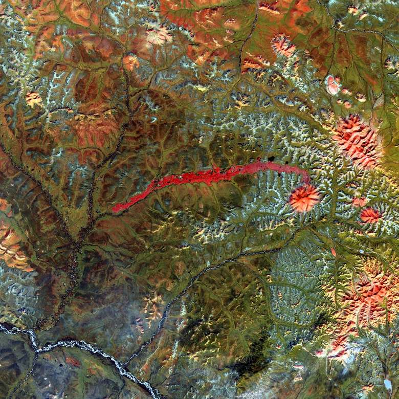 copac cu frunze roșii și maro puzzle online