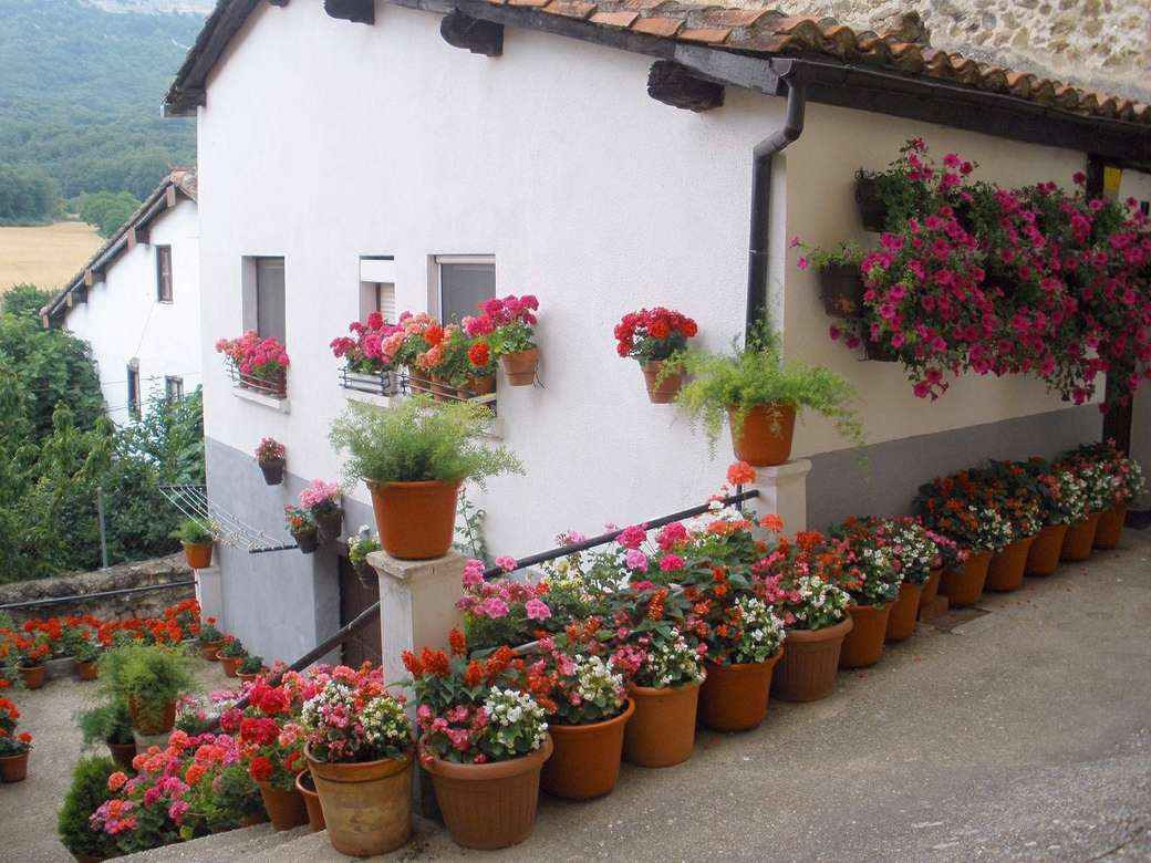 Ett hus i blommor Pussel online