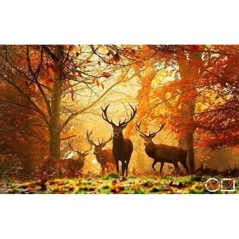deer in the forest online puzzle