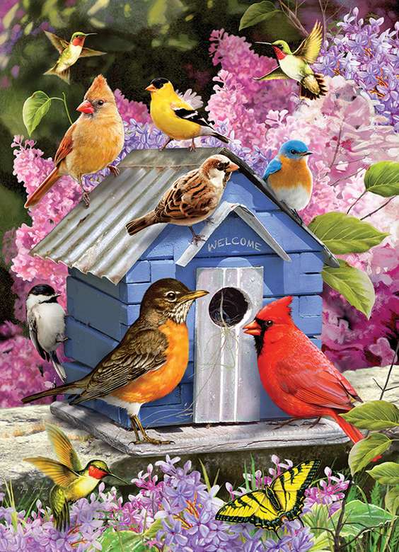 Păsări colorate. jigsaw puzzle online